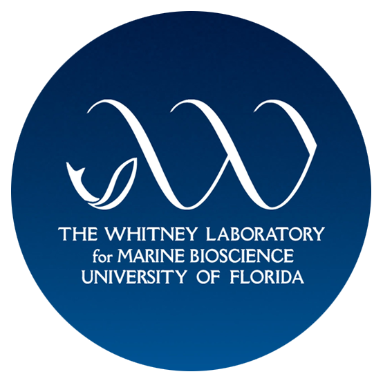 Whitney Laboratory for Marine Bioscience, University of Florida